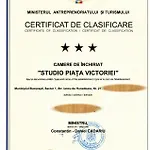 Piata Victoriei *