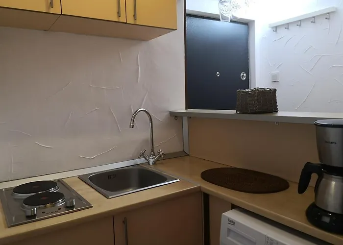 Piata Victoriei Apartment